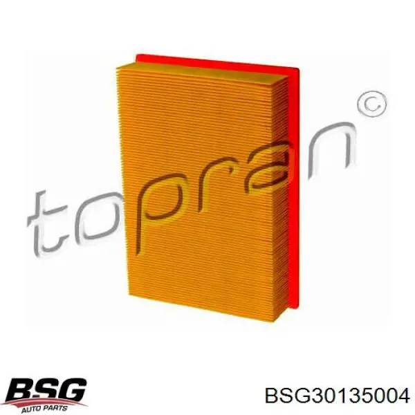 Елемент повітряного фільтра BSG BSG30135004 ціна, від 5.62 USD