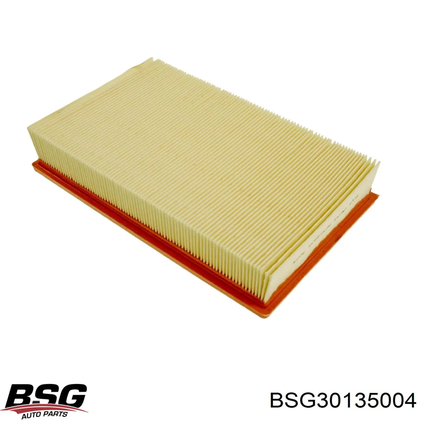 Купити BSG30135004 BSG Автомобільний фільтр повітря