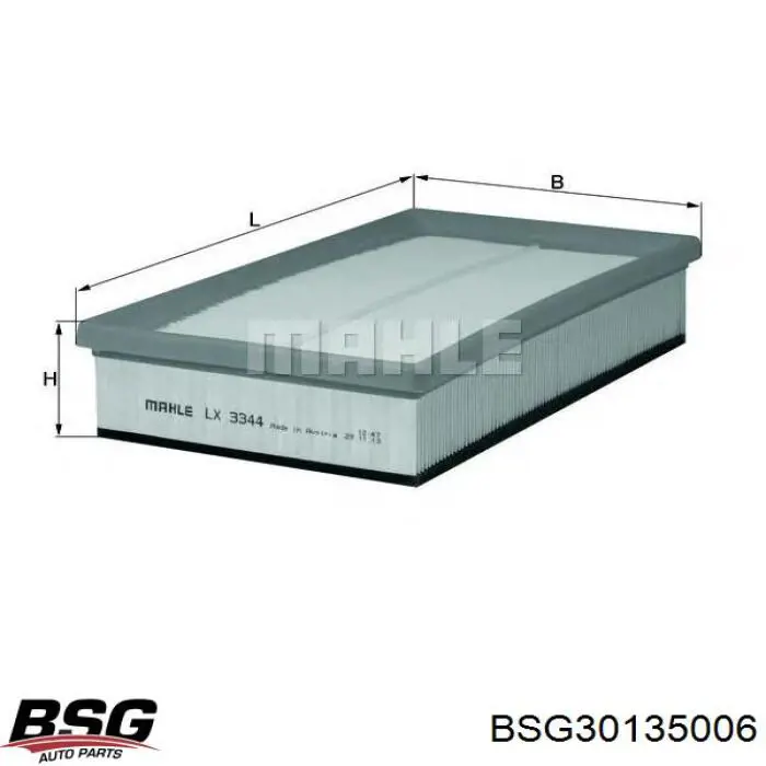Купити BSG30135006 BSG Автомобільний фільтр повітря