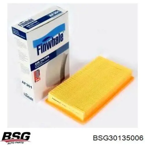 Повітряний фільтр BSG30135006 BSG