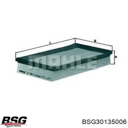 Елемент повітряного фільтра BSG BSG30135006 ціна, від 3.24 USD