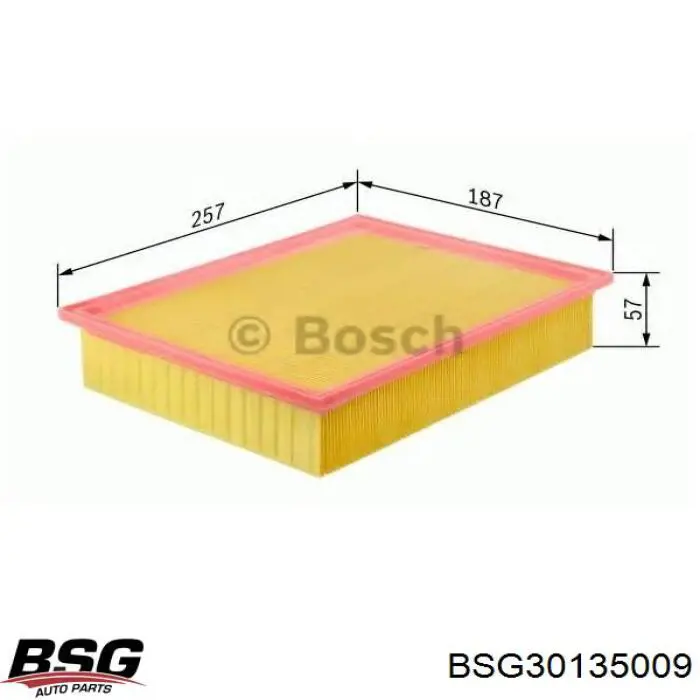BSG30135009 BSG Повітряний фільтр двигуна