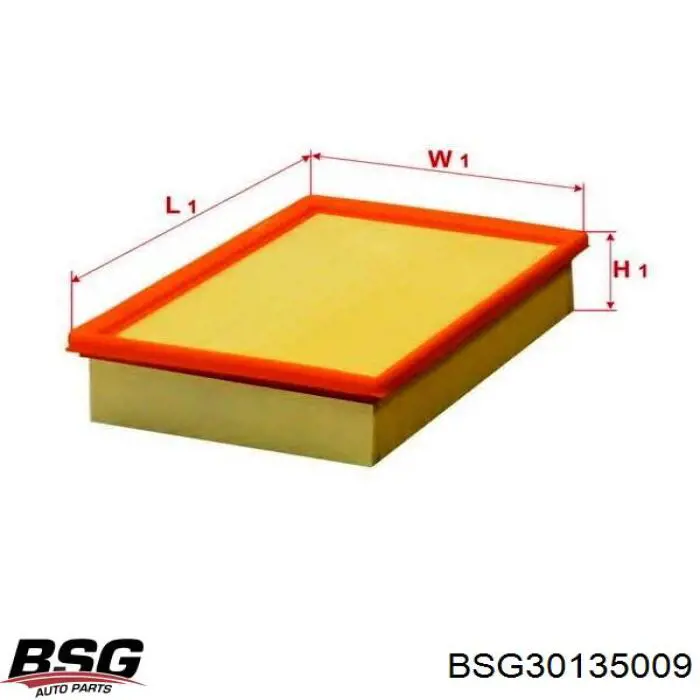 Елемент повітряного фільтра BSG BSG30135009 ціна, від 4.44 USD