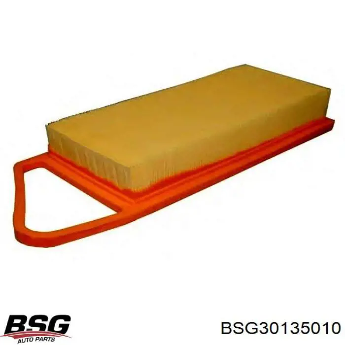 BSG30135010 BSG фільтр повітряний