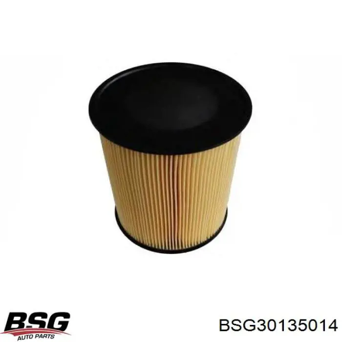 Фільтр повітряний BSG BSG30135014