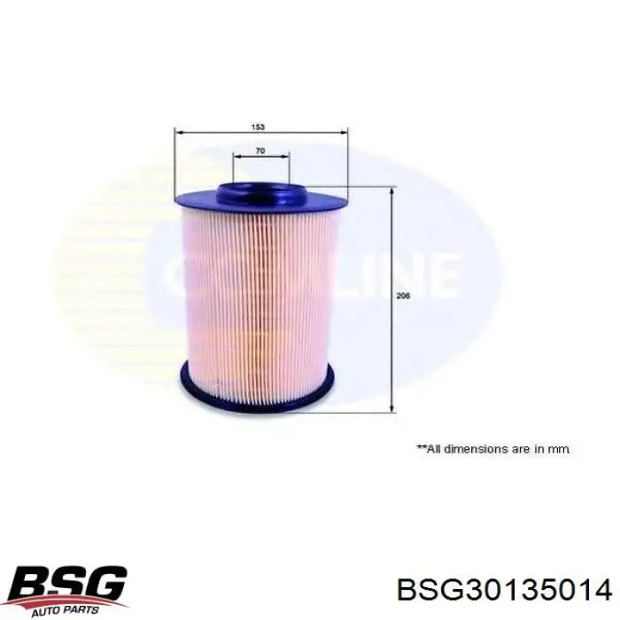 BSG30135014 BSG Повітряний фільтр двигуна