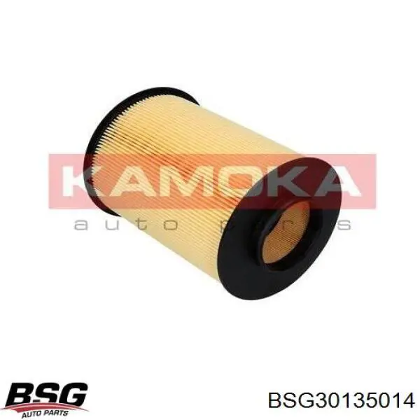 Елемент повітряного фільтра BSG BSG30135014 ціна, від 6.85 USD