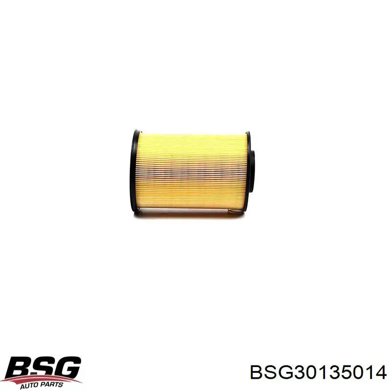 Купити BSG30135014 BSG Автомобільний фільтр повітря