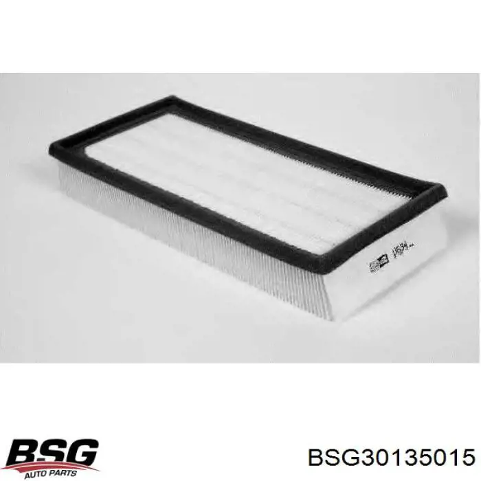 Повітряний фільтр BSG30135015 BSG
