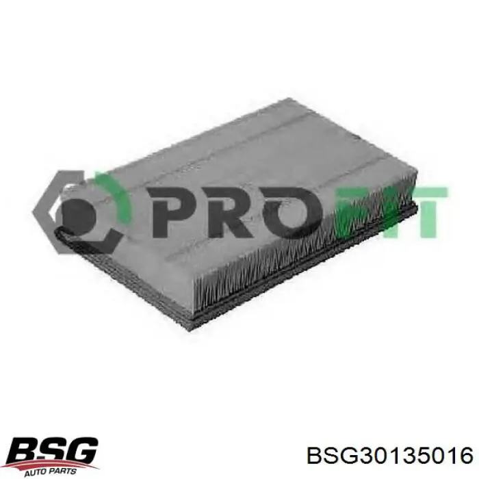 Купити BSG30135016 BSG Автомобільний фільтр повітря