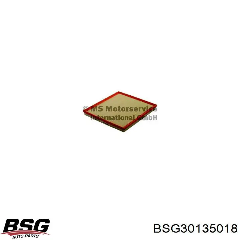 Купити BSG30135018 BSG Автомобільний фільтр повітря