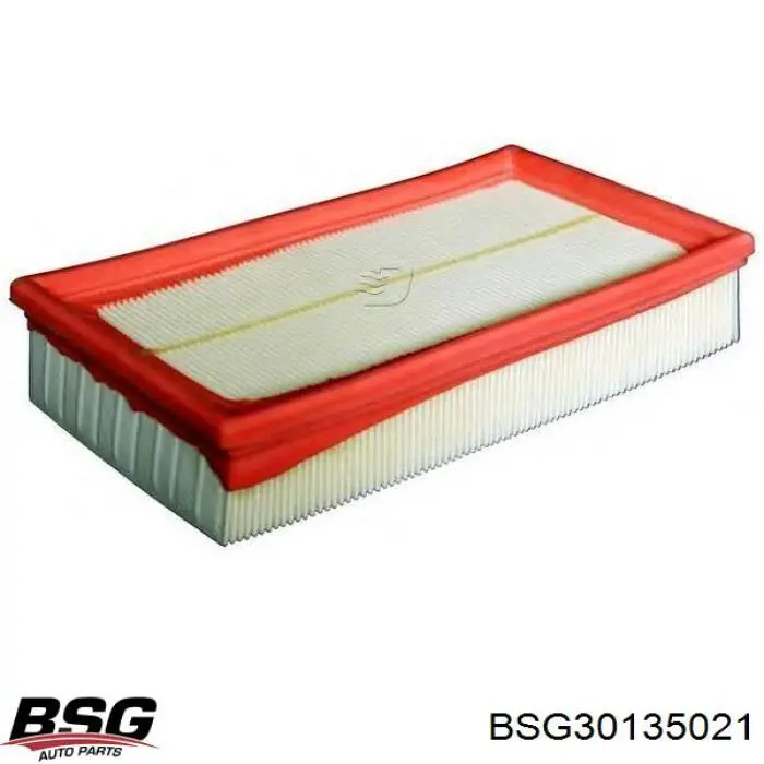 Елемент повітряного фільтра BSG BSG30135021 ціна, від 7.14 USD