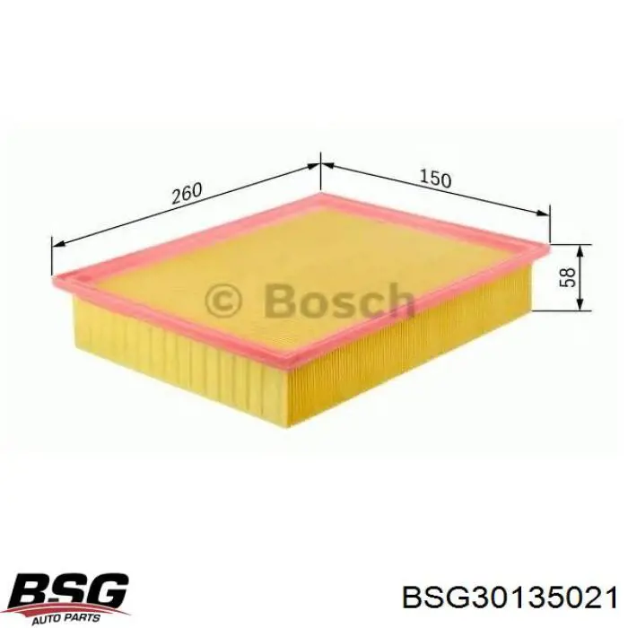 BSG30135021 BSG фільтр повітряний