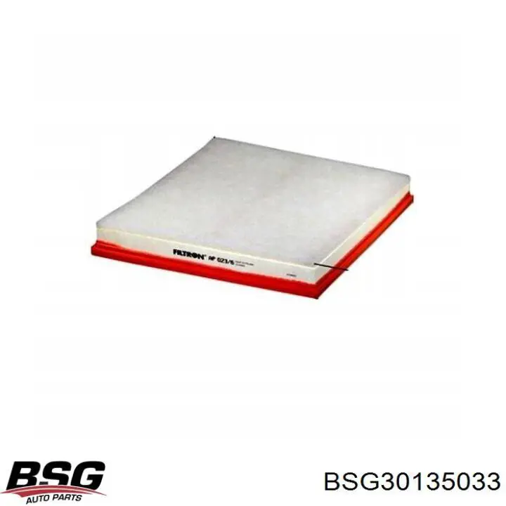 Елемент повітряного фільтра BSG BSG30135033 ціна, від 7.76 USD