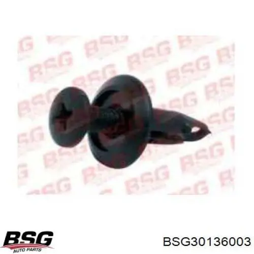  BSG BSG30136003 ціна, від 1.38 USD