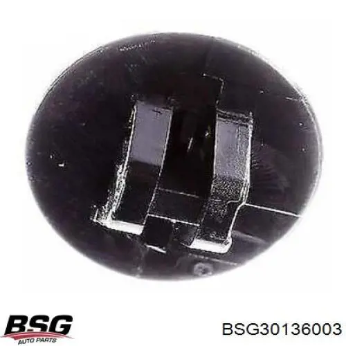  BSG30136003 BSG