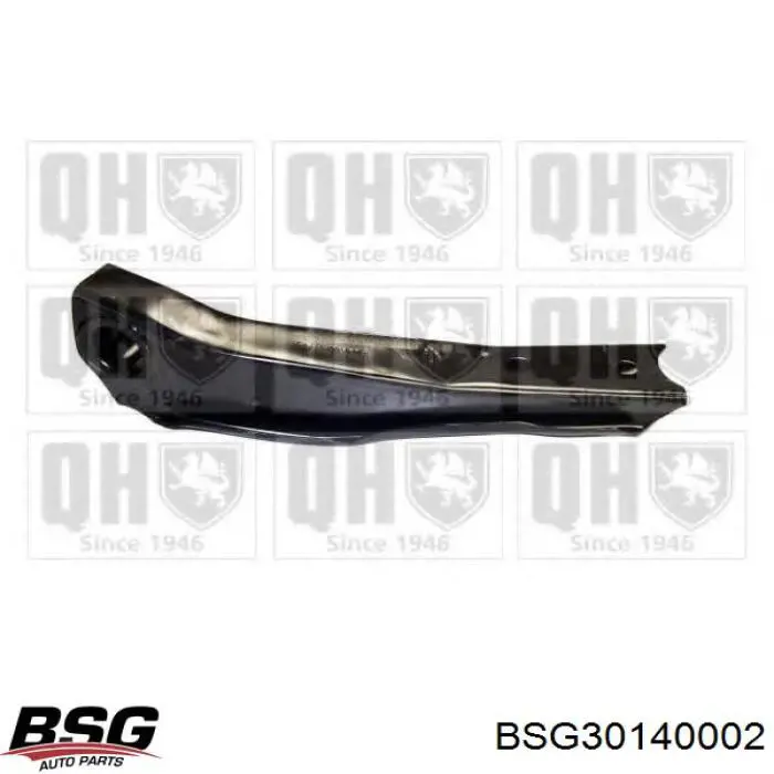 Фільтр масляний BSG BSG30140002