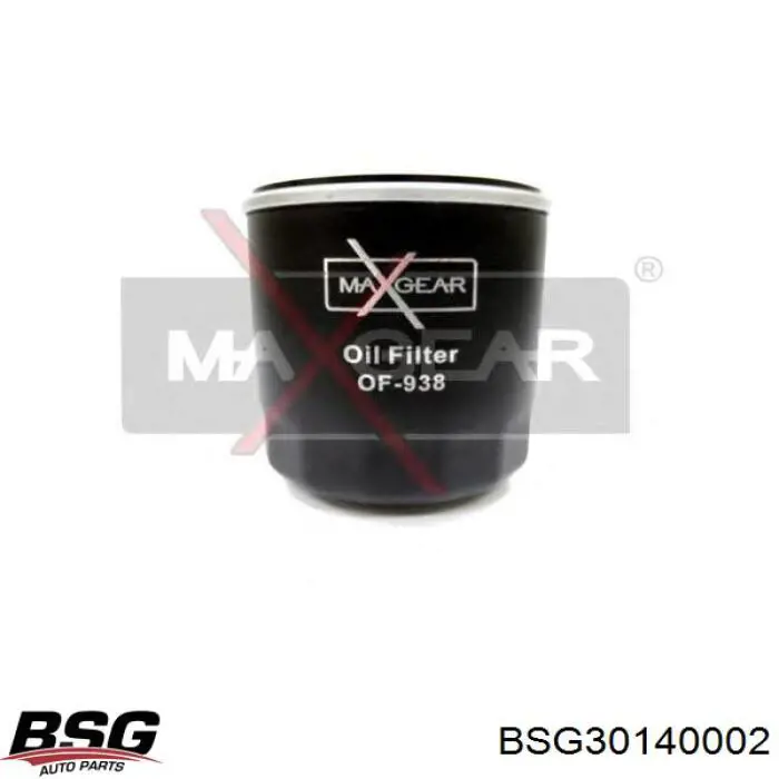 Купити BSG30140002 BSG Фільтр очищення масла відцентровий