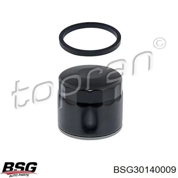 BSG30140009 BSG фільтр масляний