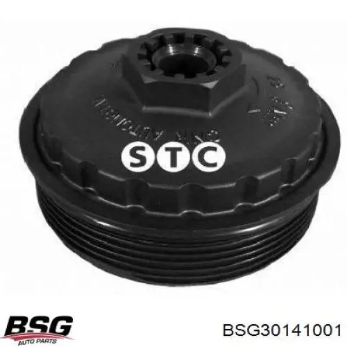 Купити BSG30141001 BSG Кришка масляного фільтра