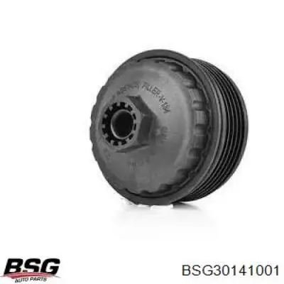 Кришка масляного фільтра Renault (RVI) 7701048886