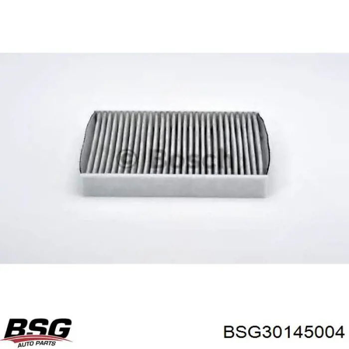 Фільтр повітряний обігрівача BSG BSG30145004 ціна, від 4.88 USD