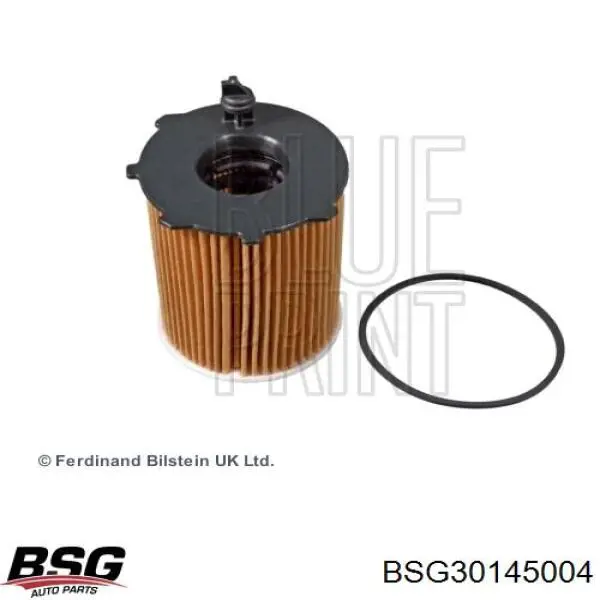 Купити BSG30145004 BSG Фільтр салону вугільний