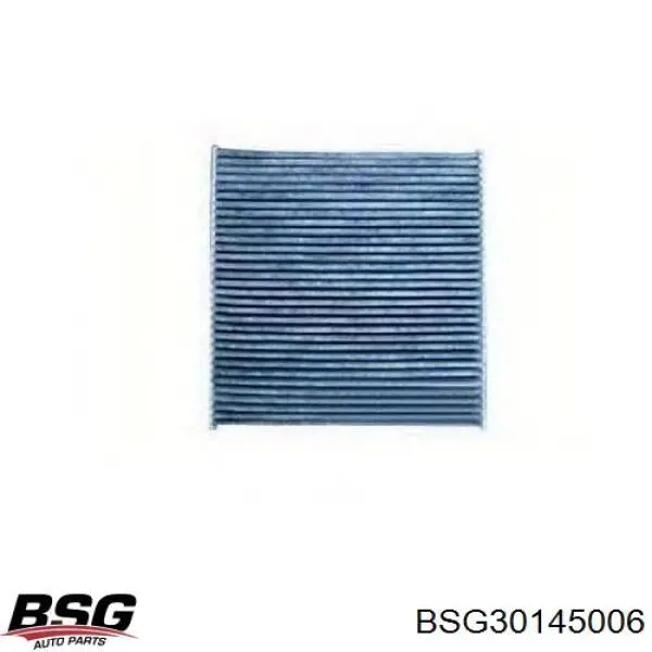 Купити BSG30145006 BSG Фільтр салону вугільний