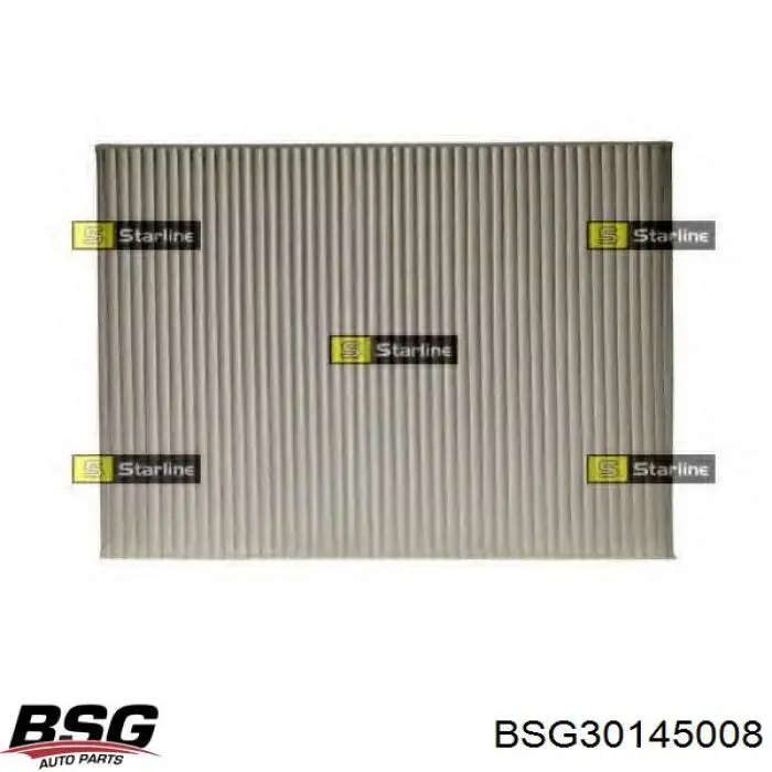 Повітряний фільтр салону BSG BSG30145008