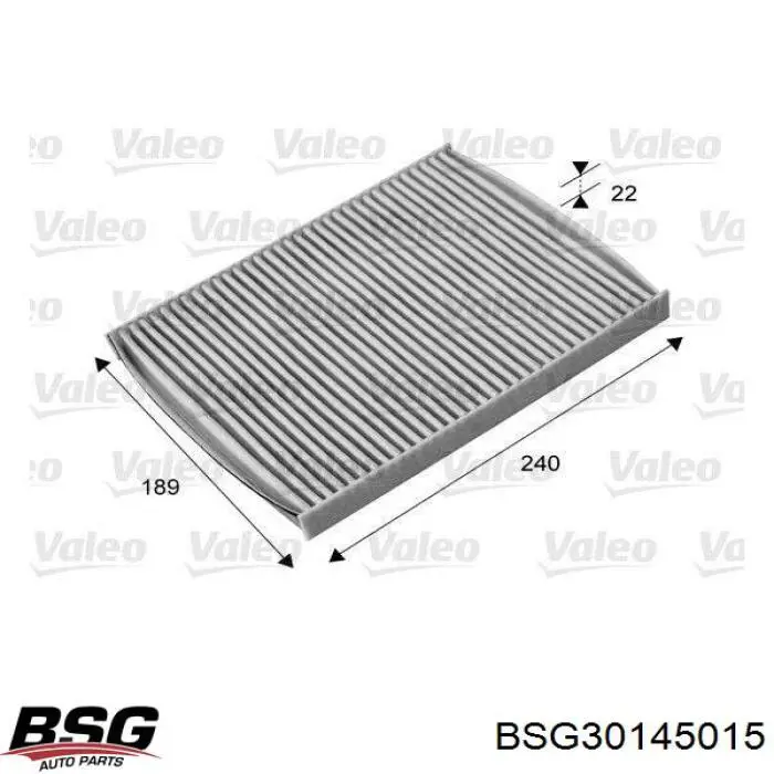 BSG30145015 BSG Внутрішньосалонний фільтр