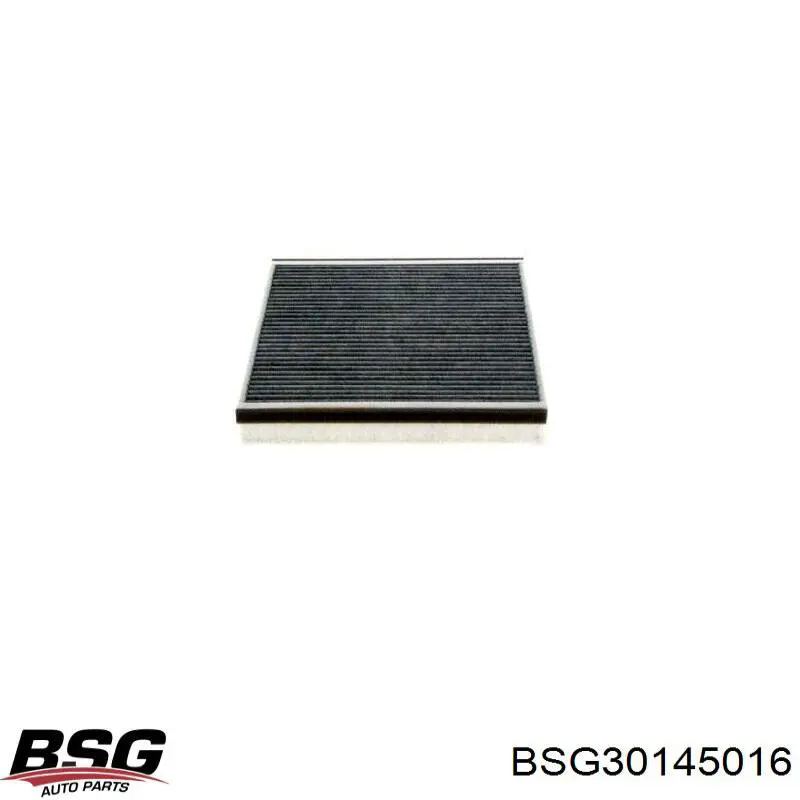 Купити BSG30145016 BSG Фільтр салону вугільний