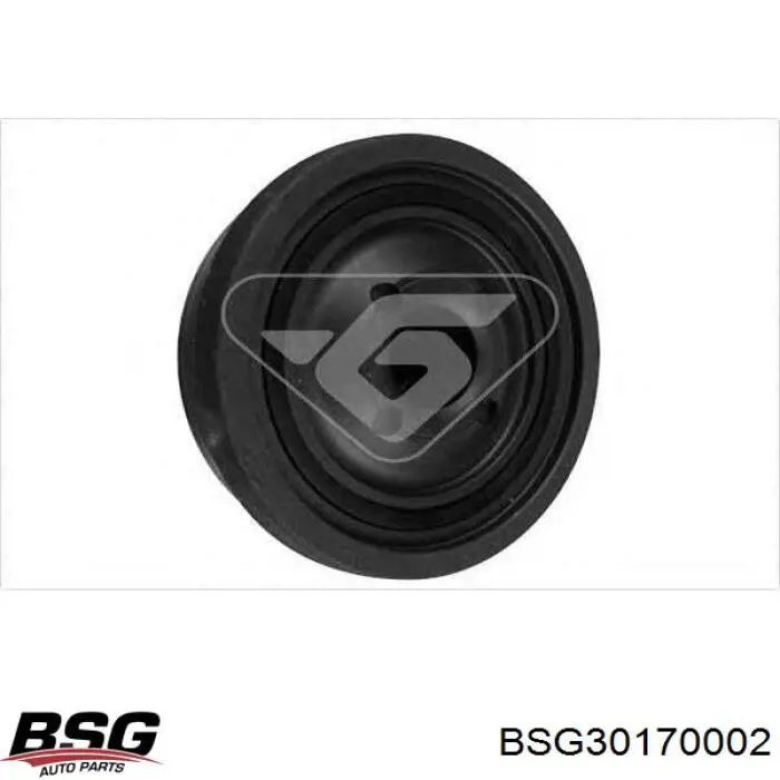 Купити BSG30170002 BSG Шків колінчастого вала