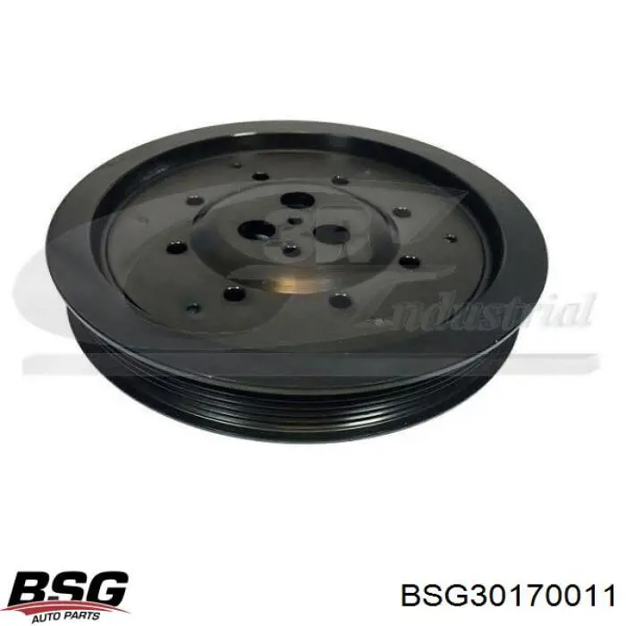 Шків колінвала BSG30170011 BSG