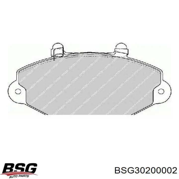 Колодки гальмівні передні, дискові BSG30200002 BSG