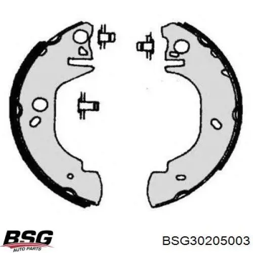 Колодки гальмові задні, барабанні BSG30205003 BSG