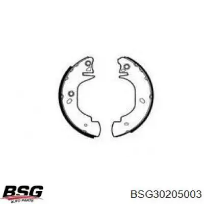 Купити BSG30205003 BSG Колодки гальмові задні, барабанні