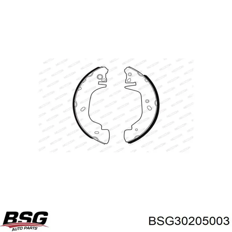 Гальма робочі задні ножні і гальмівні барабани BSG BSG30205003