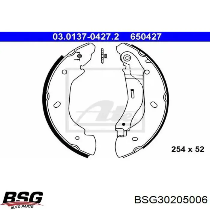 Купити BSG30205006 BSG Колодки гальмові задні, барабанні