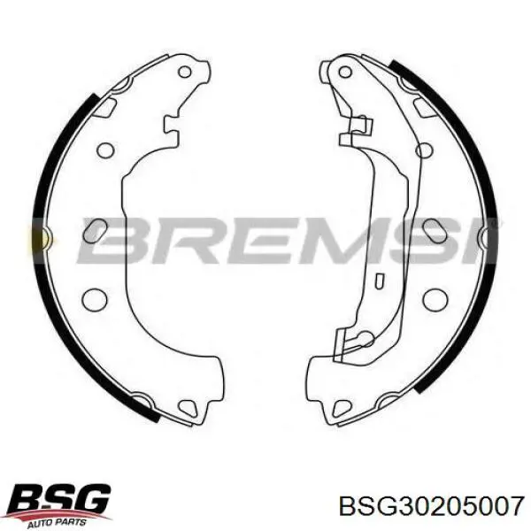 BSG30205007 BSG Колодки гальмівні задні, барабанні