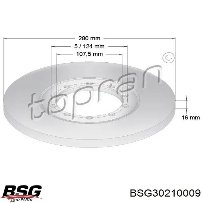 BSG30210009 BSG диск гальмівний задній