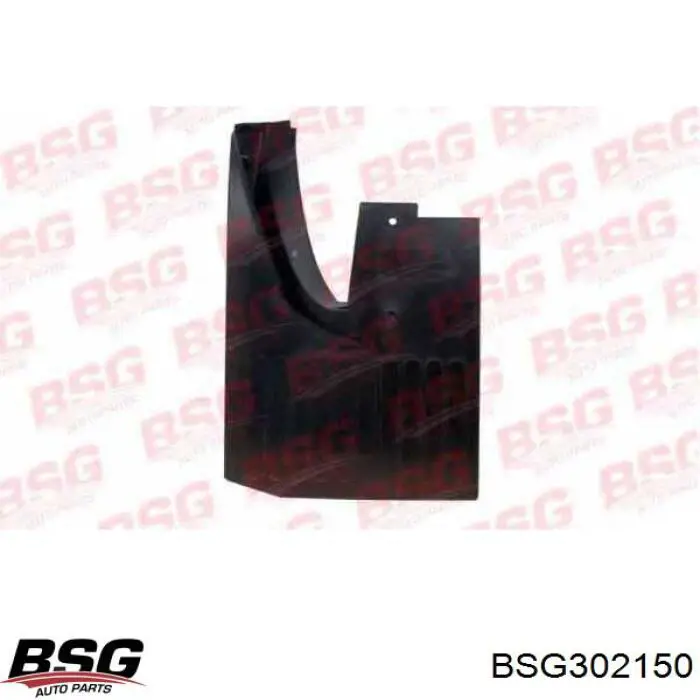 Купити 60920005 BSG Бризковики передній, правий