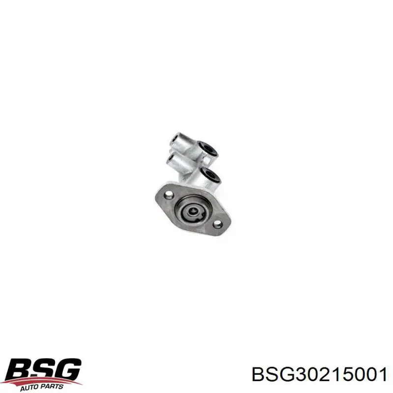 BSG30215001 BSG циліндр гальмівний, головний