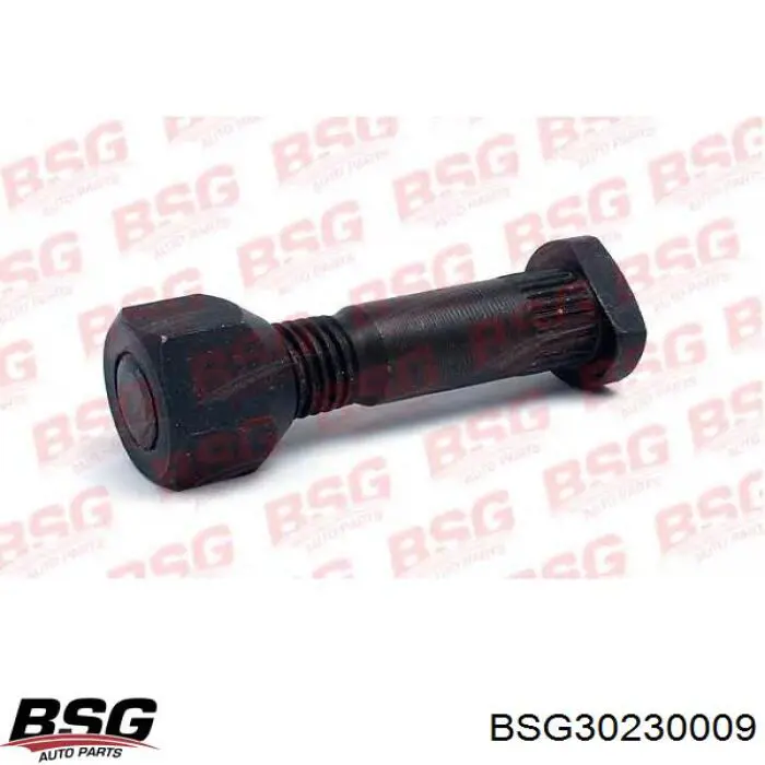 Гайка кріплення колеса DP Group SS1114 ціна, від 1.16 USD