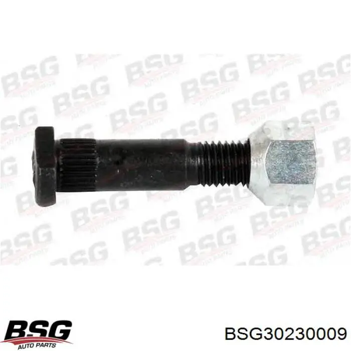 Колісні гайки SS1114 DP Group