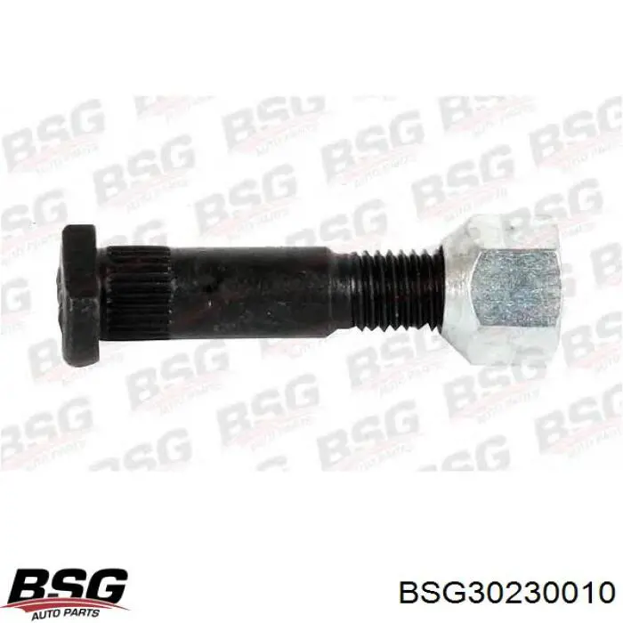 Купити BSG30230010 BSG Шпилька колісна, задня