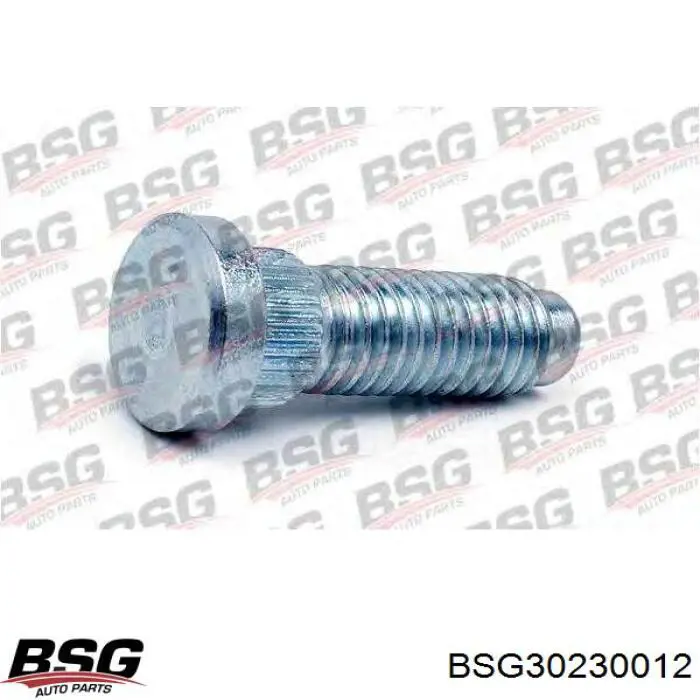 Купити BSG30230012 BSG Шпилька колісна, передня