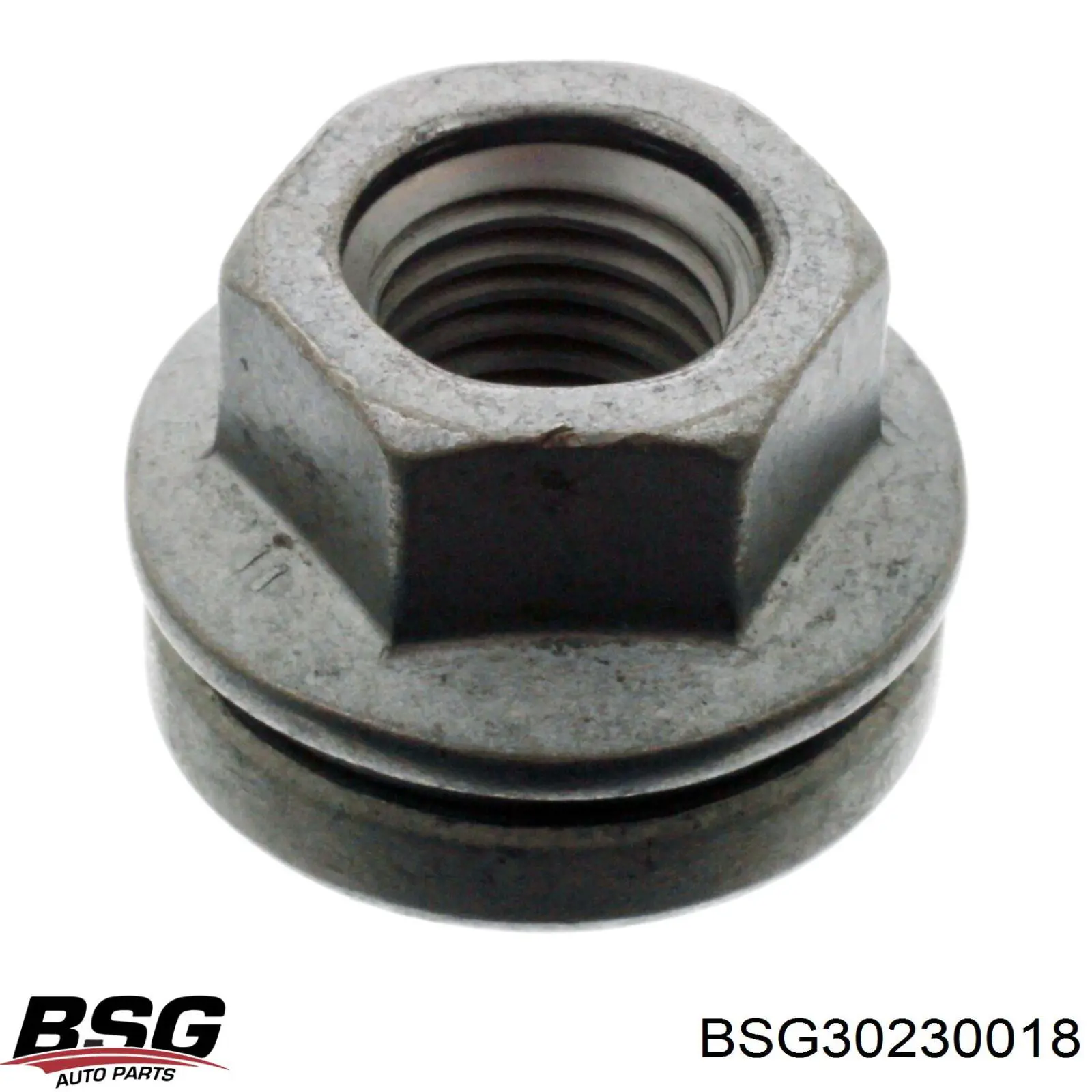 Колісні гайки SS1577 DP Group