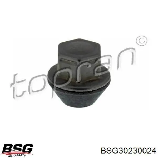 Гайка кріплення колеса Asam 99453 ціна, від 3.18 USD