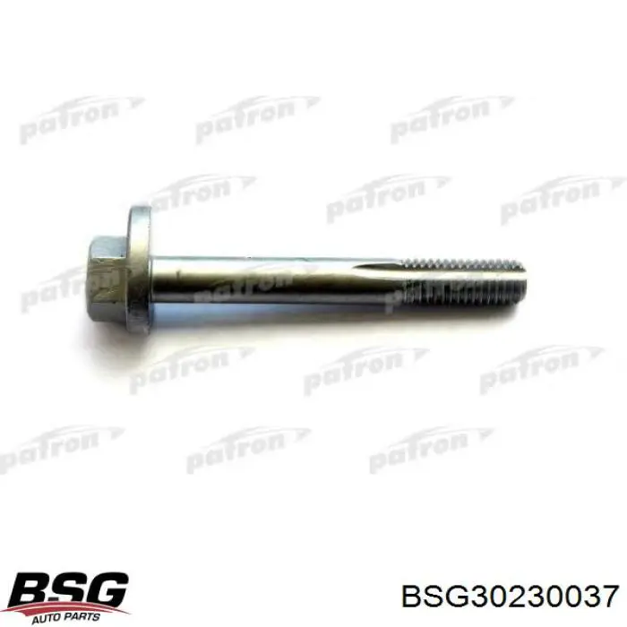 Болт кріплення заднього нижнього важеля, внутрішній BSG BSG30230037 ціна, від 6.18 USD