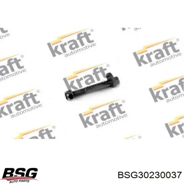 Купити 3M515K978AD Ford Болт кріплення заднього нижнього важеля, внутрішній